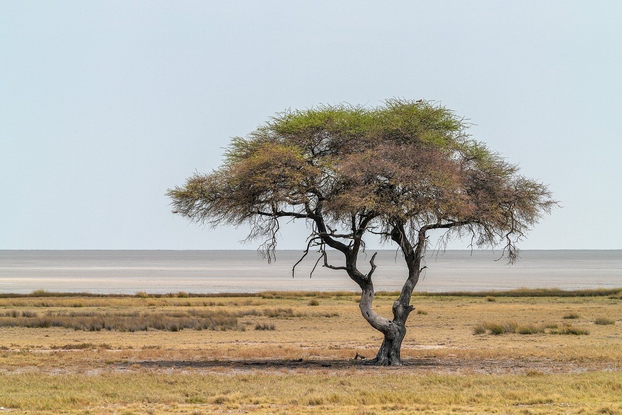 물 빠진 청바지가 싫다면 소금물에 담가라 9 물 빠진 청바지가 싫다면 소금물에 담가라