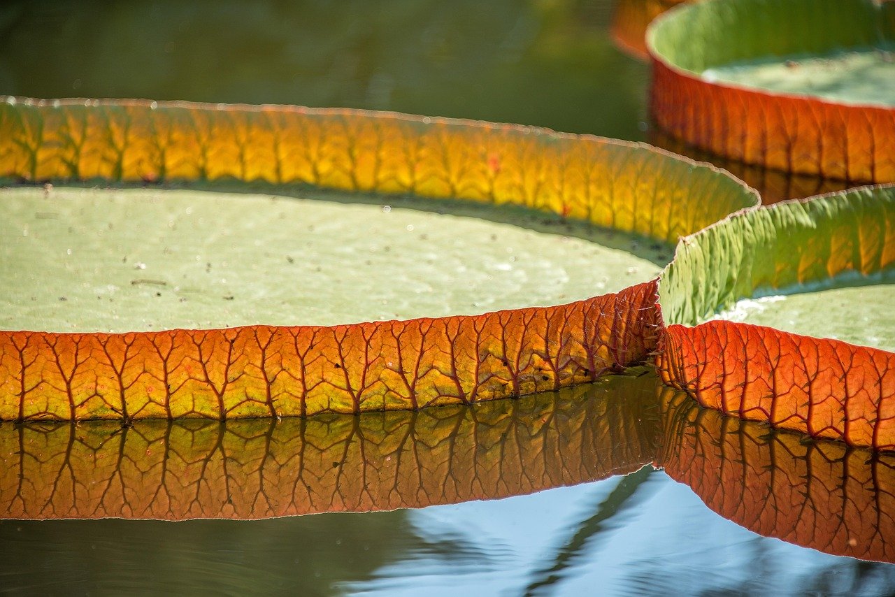 화장솜 보관할 때 눅눅해지지 않게 하는 법 8 화장솜 보관할 때 눅눅해지지 않게 하는 법
