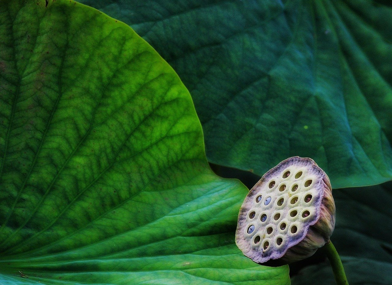 리필펜 추천, 환경 친화형 vs 저가형 비교 10 리필펜 추천, 환경 친화형 vs 저가형 비교