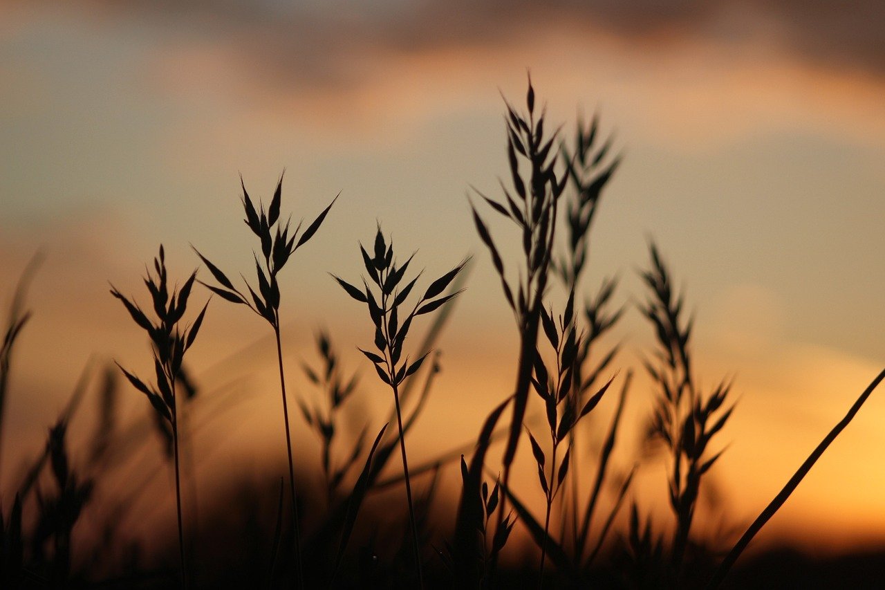 믹서기 날 분리 세척하는 법, 쉽고 안전하게 8 믹서기 날 분리 세척하는 법, 쉽고 안전하게