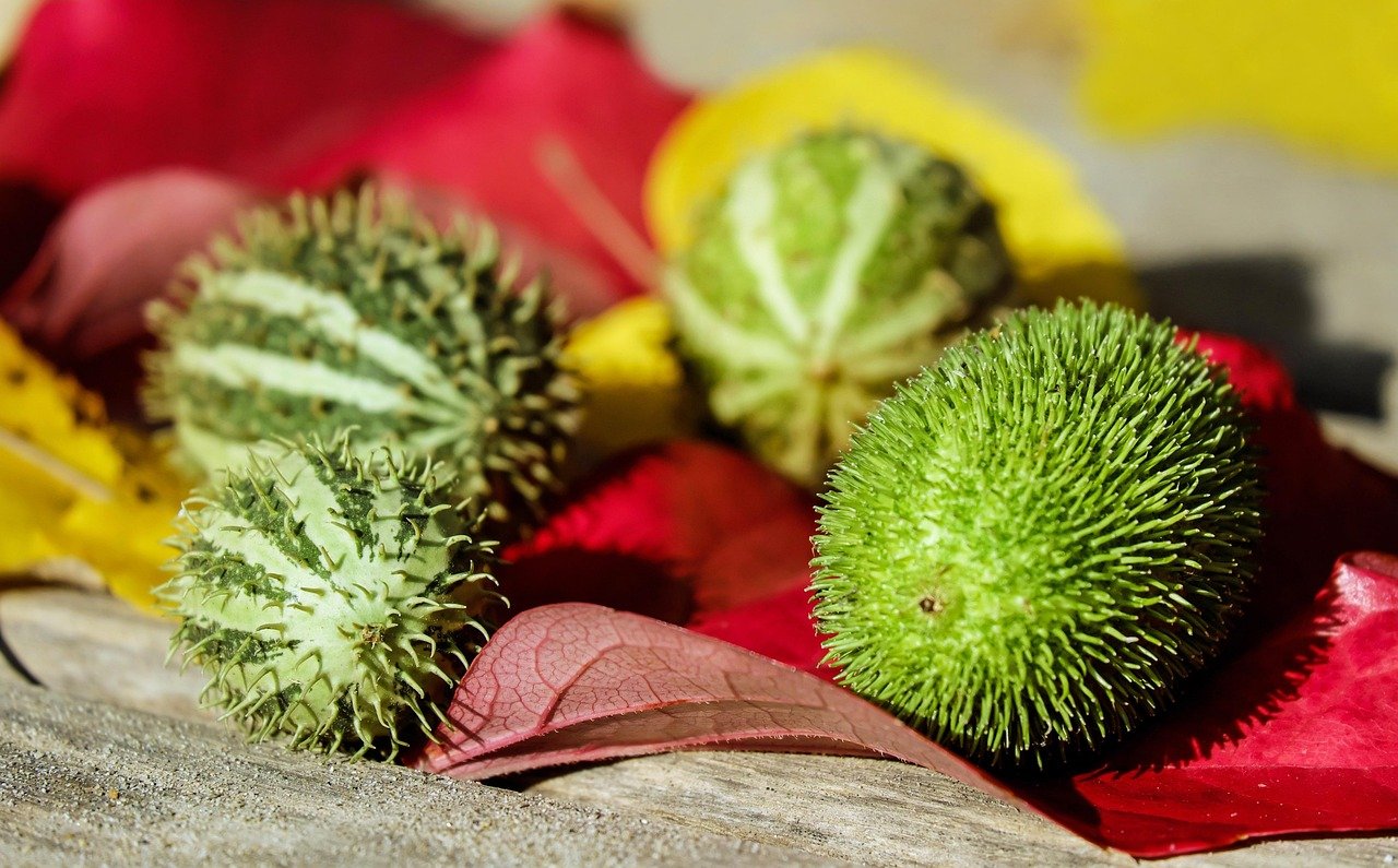 패션트렌드2025, 브랜드별 룩북으로 미리 보기 7 패션트렌드2025, 브랜드별 룩북으로 미리 보기