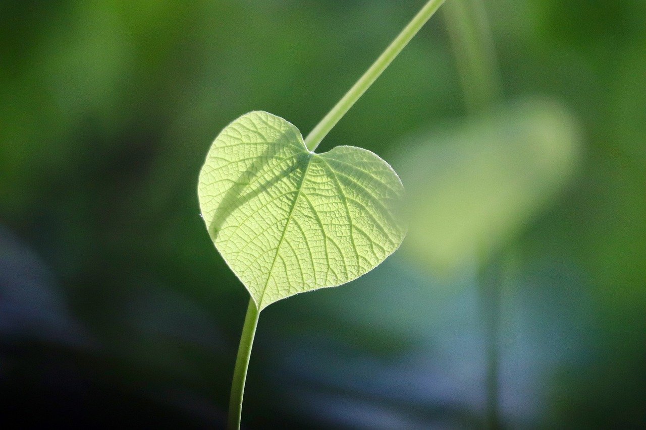 리필펜 추천, 환경 친화형 vs 저가형 비교 9 리필펜 추천, 환경 친화형 vs 저가형 비교