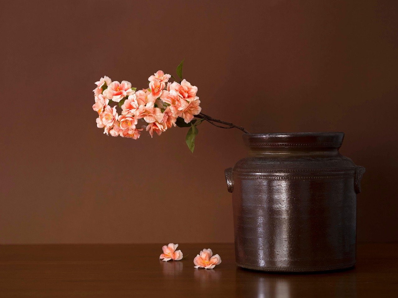 잘쓰러지는 화분, 고정시키는 법 10 잘쓰러지는 화분, 고정시키는 법