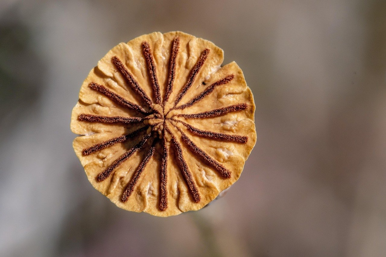 계절별 컬러코디, 톤온톤으로 감성 살리기 1 계절별 컬러코디 톤온톤으로 감성 살리기