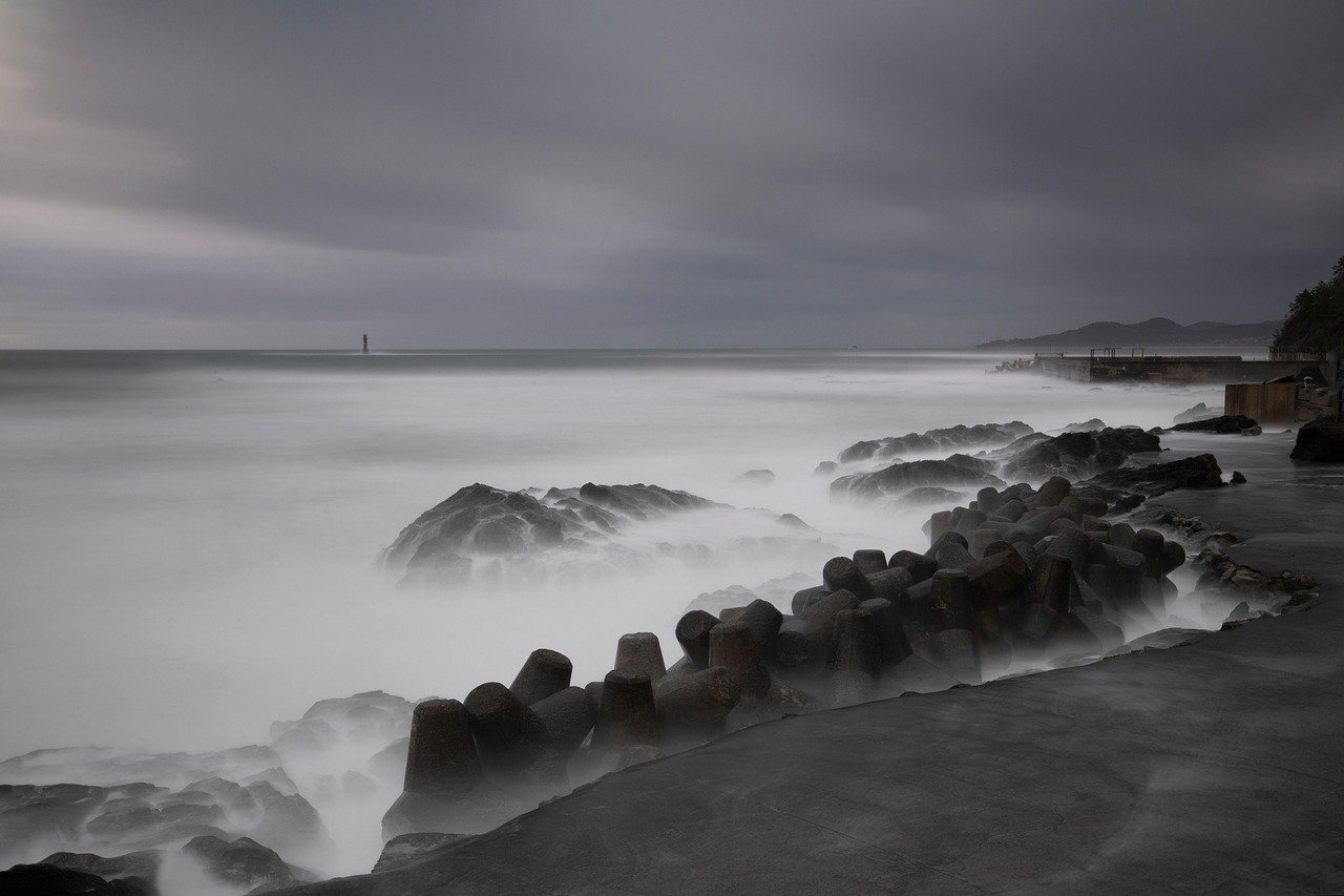 냉장고 정리법에 숨겨진 과학적 구조 1 냉장고 정리법에 숨겨진 과학적 구조