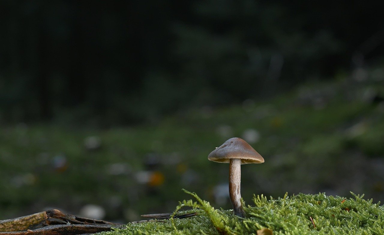 생활과학 콘텐츠는 왜 인기일까? 트렌드 분석 1 생활과학 콘텐츠는 왜 인기일까 트렌드 분석