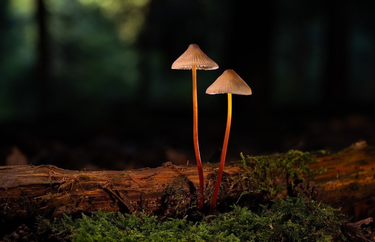 의자 바닥 긁힘 없애는 슬라이더 팁 1 의자 바닥 긁힘 없애는 슬라이더 팁