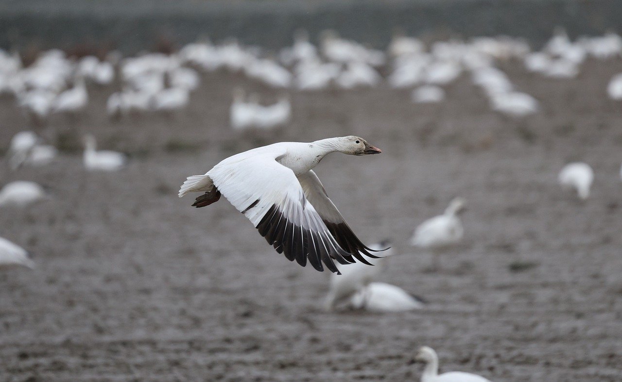 전기밥솥이 안 켜질 때 확인할 한 가지 1 전기밥솥이 안 켜질 때 확인할 한 가지