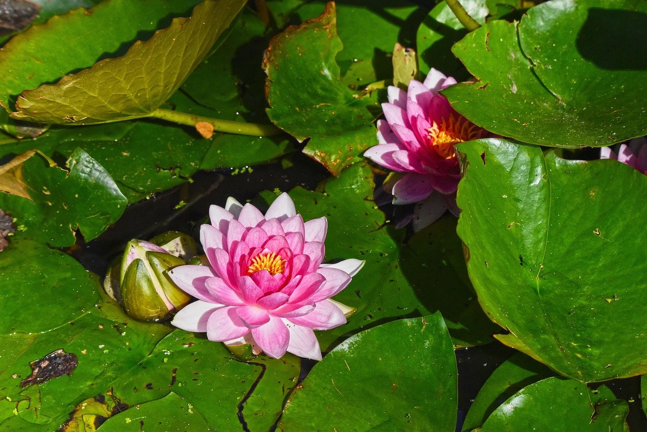 책받침 추천, 미끄럼 방지 패드 포함 제품 1 책받침 추천 미끄럼 방지 패드 포함 제품