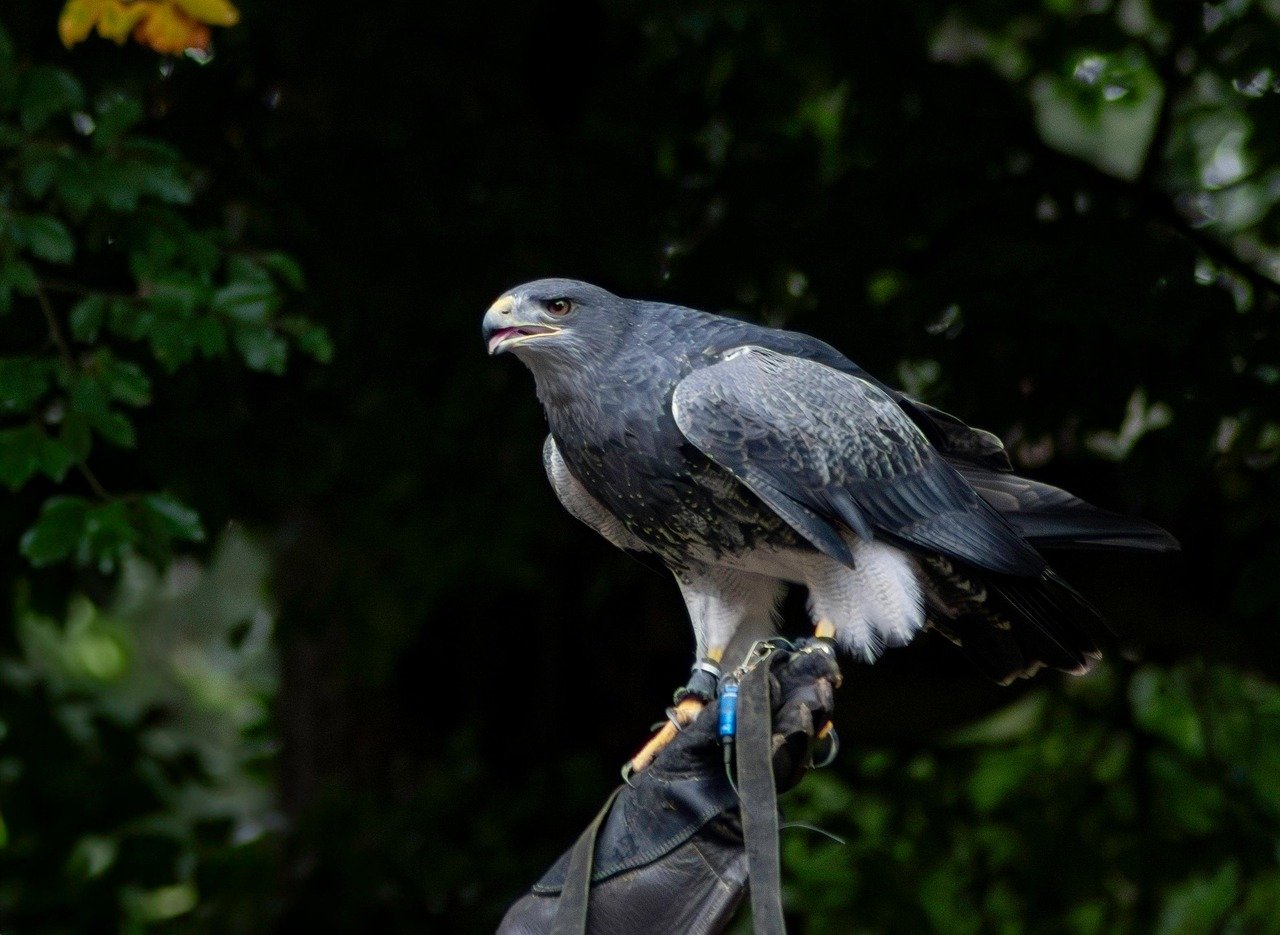 카펫에 묻은 먼지, 고무장갑을 끼고 쏙쓰쓸어 1 카펫에 묻은 먼지 고무장갑을 끼고 쏙쓰쓸어