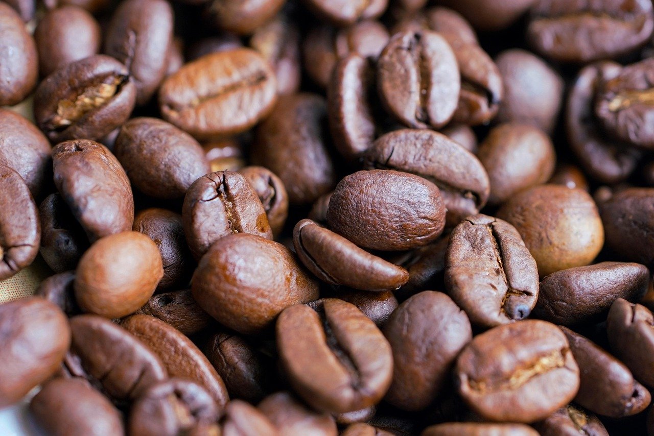 커피그라인더로 견과류 갈기, 가능할까? 1 커피그라인더로 견과류 갈기 가능할까