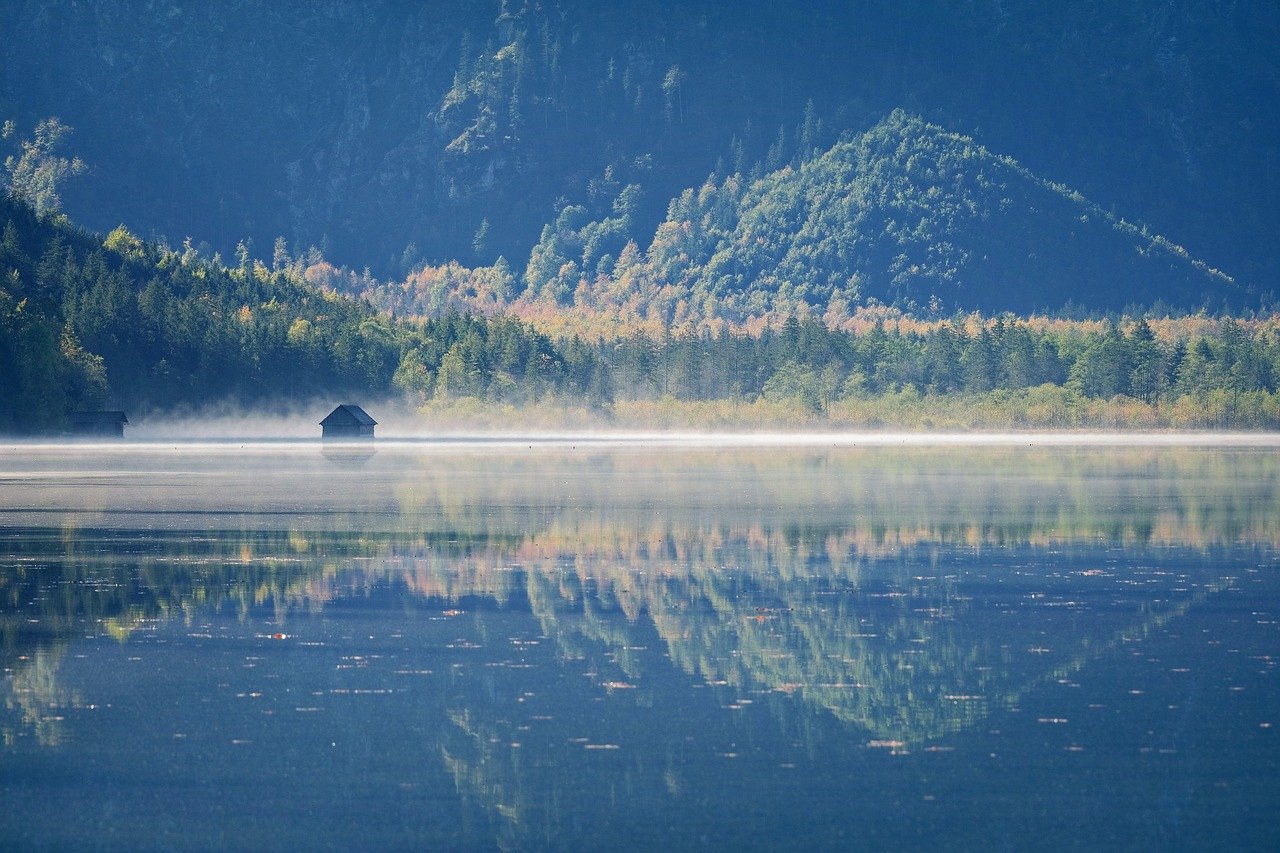 후드티 유행 컬러, 올해는 어떤 게 뜰까? 1 후드티 유행 컬러 올해는 어떤 게 뜰까