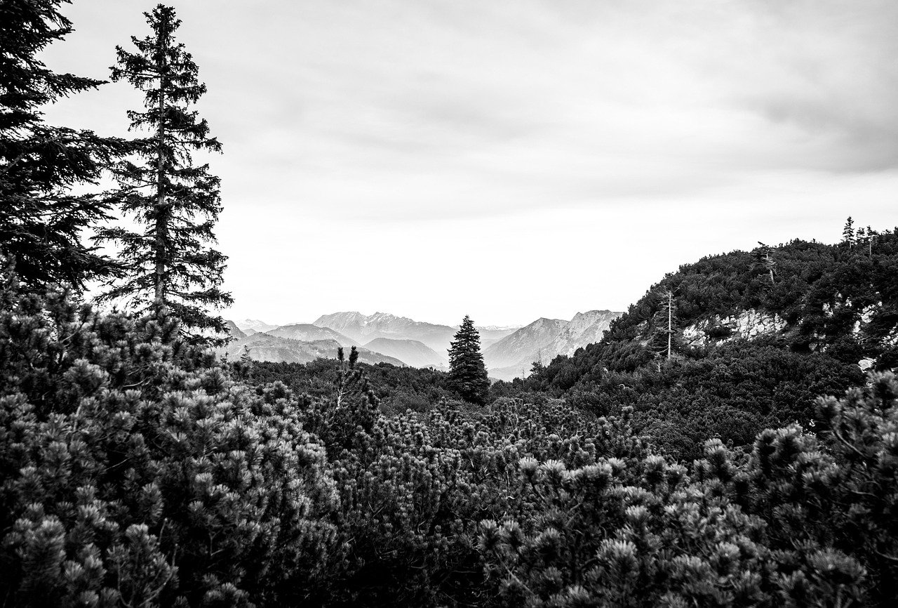 2026년 지방공무원 보수 3.5% 인상 확정! 직무수당 강화로 처우 개선 2 2026년 지방공무원 보수 3.5 인상 확정 직무수당 강화로 처우 개선