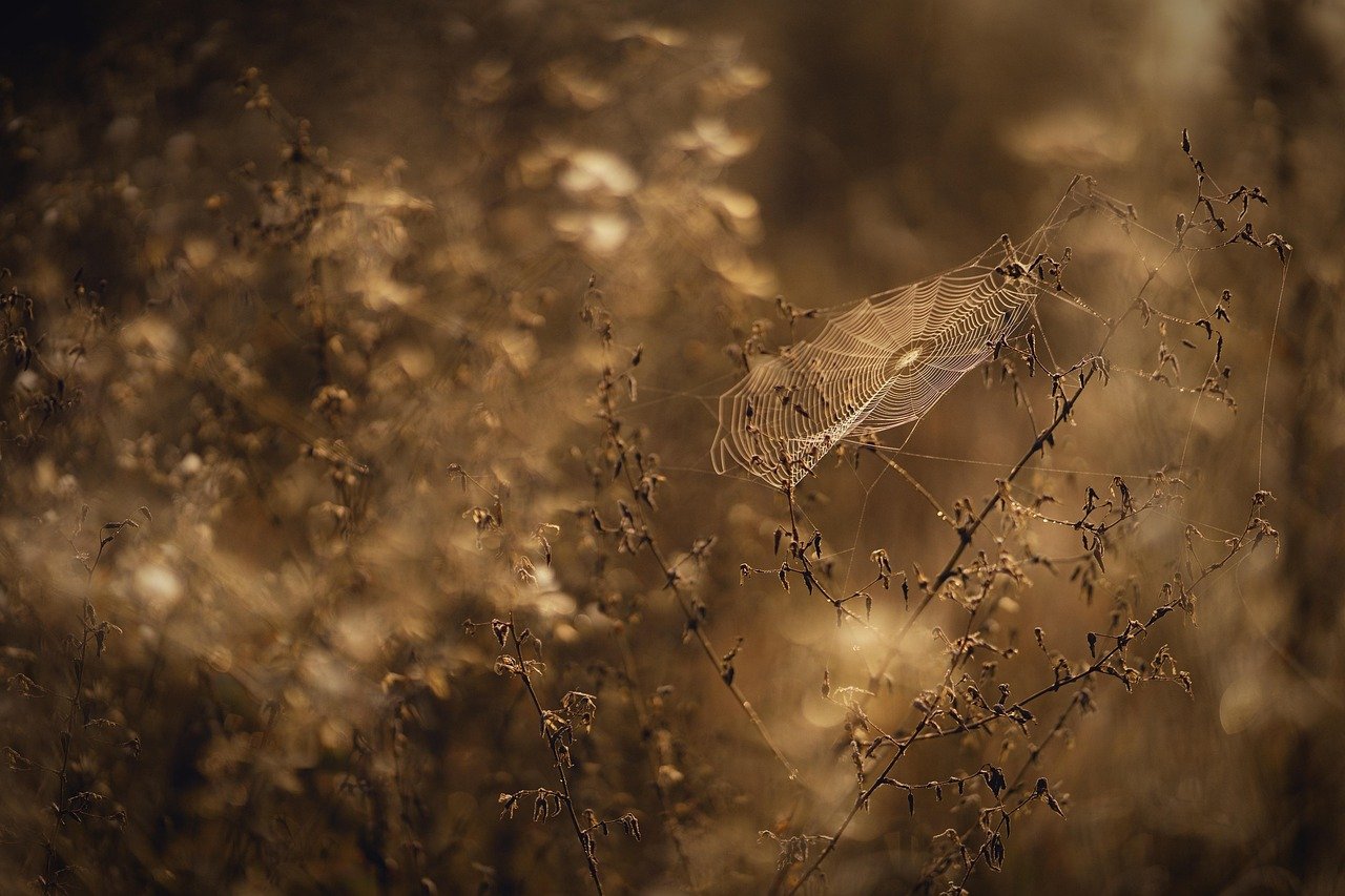 히안실크원피스끝까지 우아하게 입는법 8 히안실크원피스끝까지 우아하게 입는법