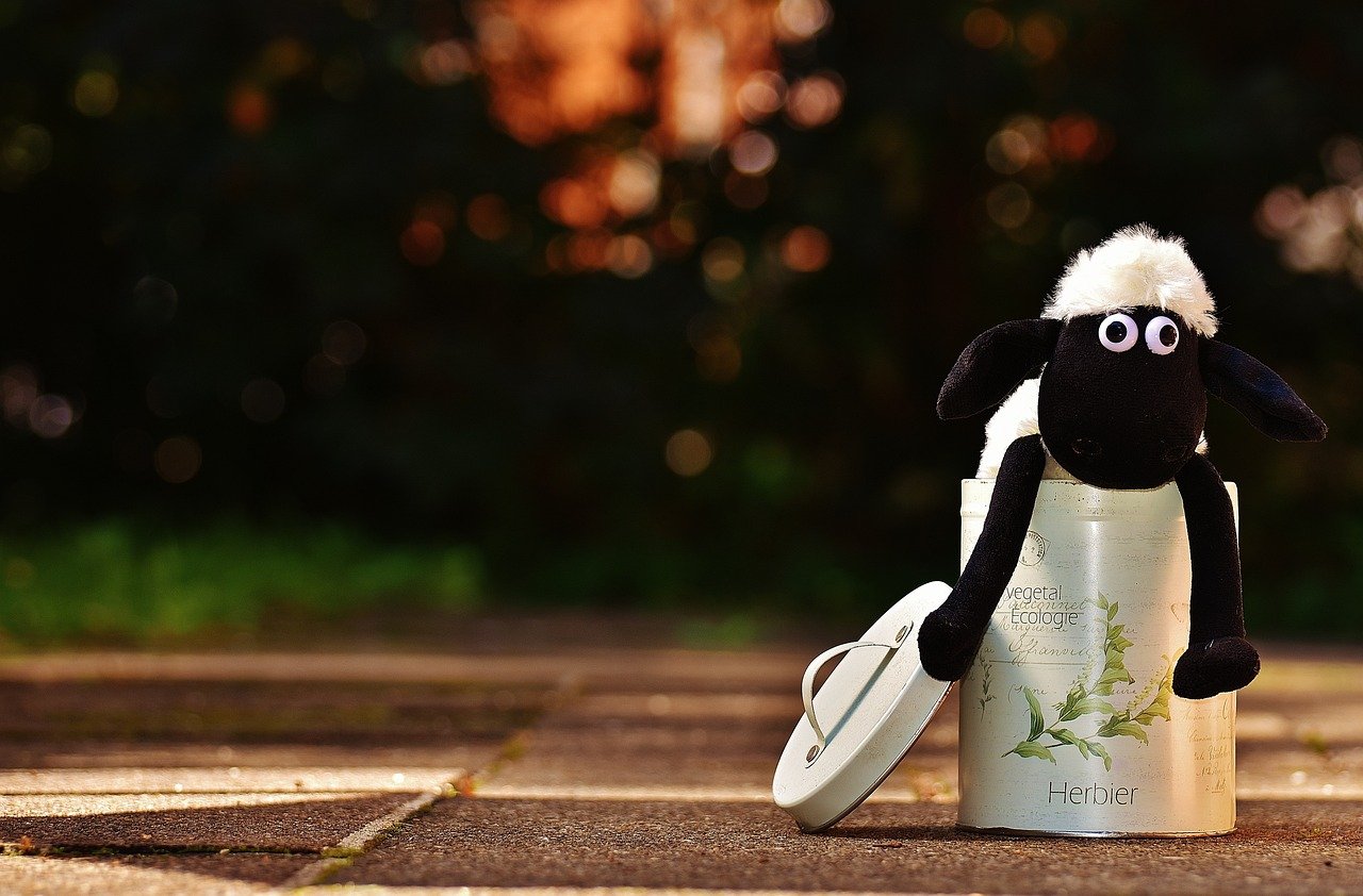 칼 갈이 시기, 손맛에 영향 줄 수 있을까? 8 칼 갈이 시기, 손맛에 영향 줄 수 있을까?