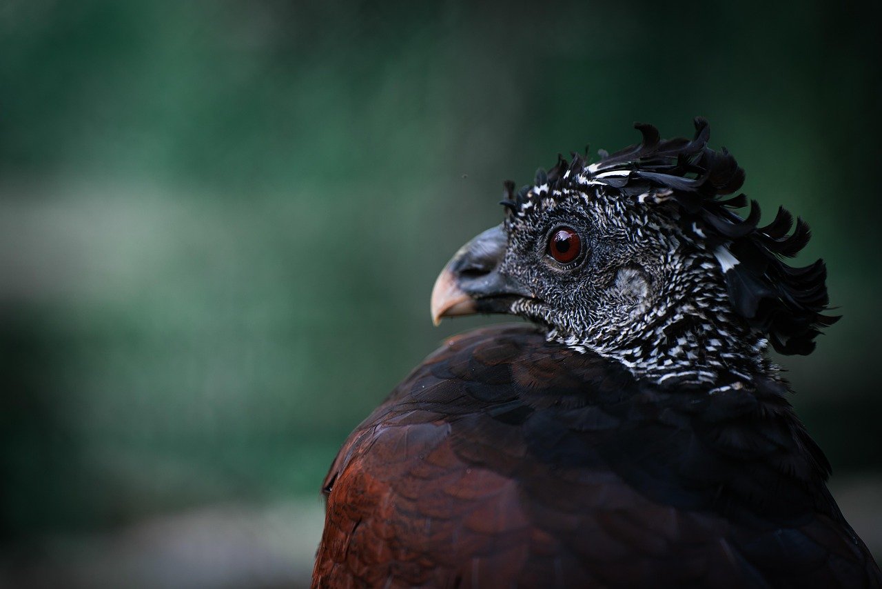 전화기에 묻은 손때, 식초가 효과 만점 11 전화기에 묻은 손때, 식초가 효과 만점