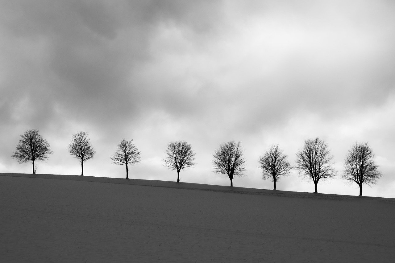 겨울 코디 포인트는 컬러가 아니라 실루엣 9 겨울 코디 포인트는 컬러가 아니라 실루엣