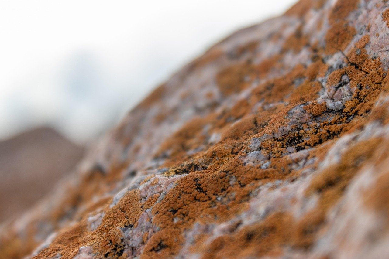 세척 후 건조 중요성, 곰팡이 차단 핵심 습관 6 세척 후 건조 중요성, 곰팡이 차단 핵심 습관