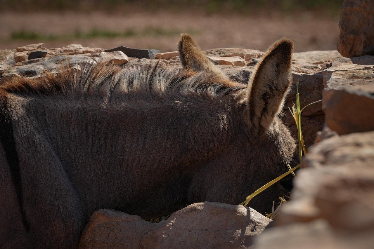 고장이 잘 나는 전자기기, 사용 습관 때문일까? 7 고장이 잘 나는 전자기기, 사용 습관 때문일까?
