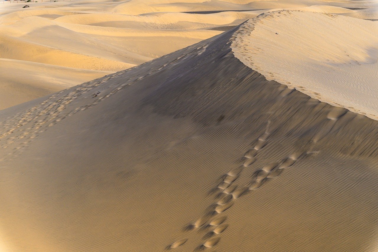식기 건조법, 물때 없이 말리는 방법은? 7 식기 건조법, 물때 없이 말리는 방법은?
