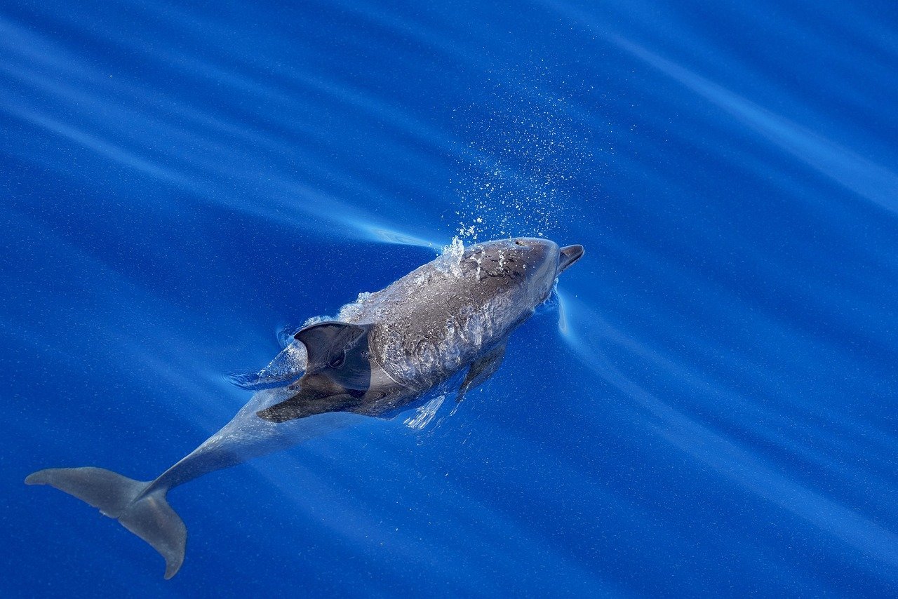 주방세제 추천 BEST3, 사용 후기 비교! 7 주방세제 추천 BEST3, 사용 후기 비교!