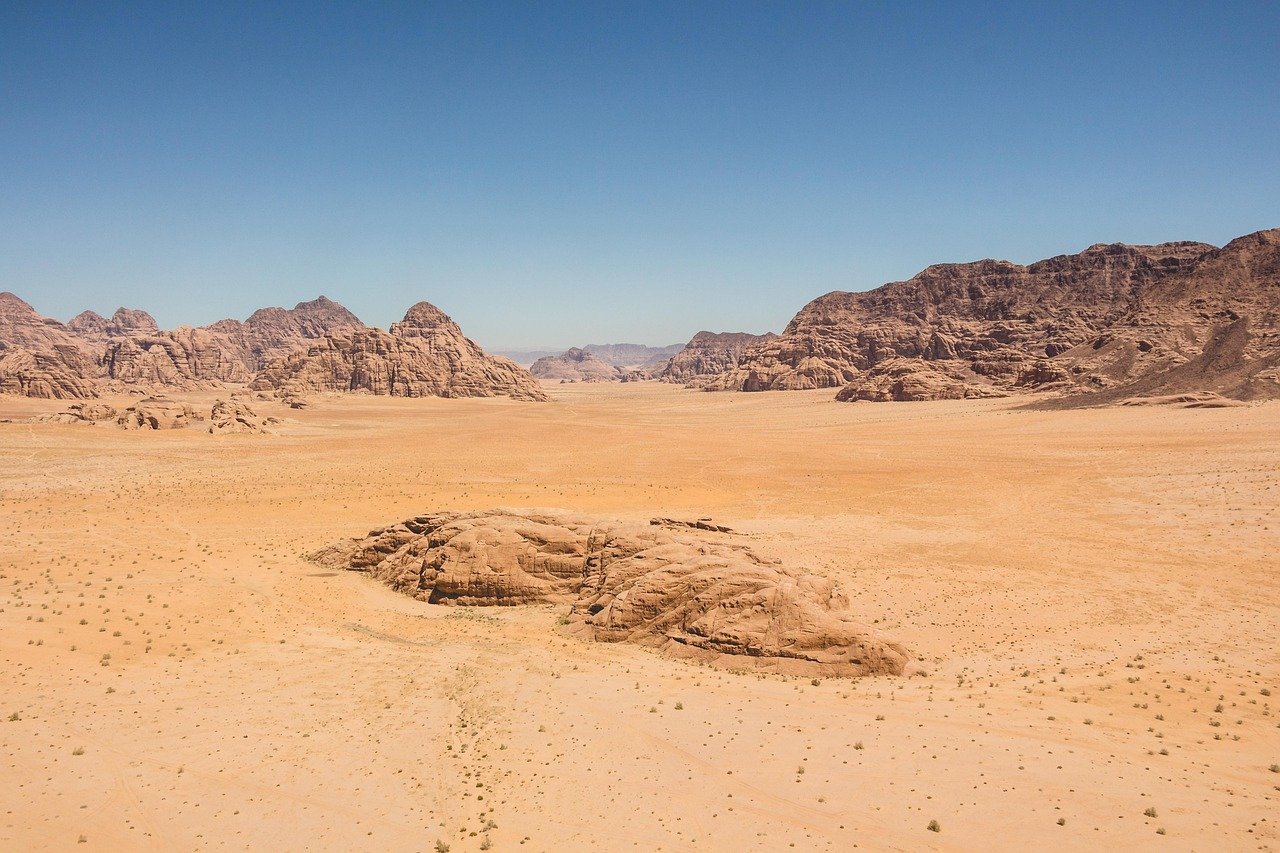 2026년 구하라법 시행 1주일! '사이다 판결' 이어질까? 상속권 변화 완벽 해부 5 2026년 구하라법 시행 1주일! '사이다 판결' 이어질까? 상속권 변화 완벽 해부
