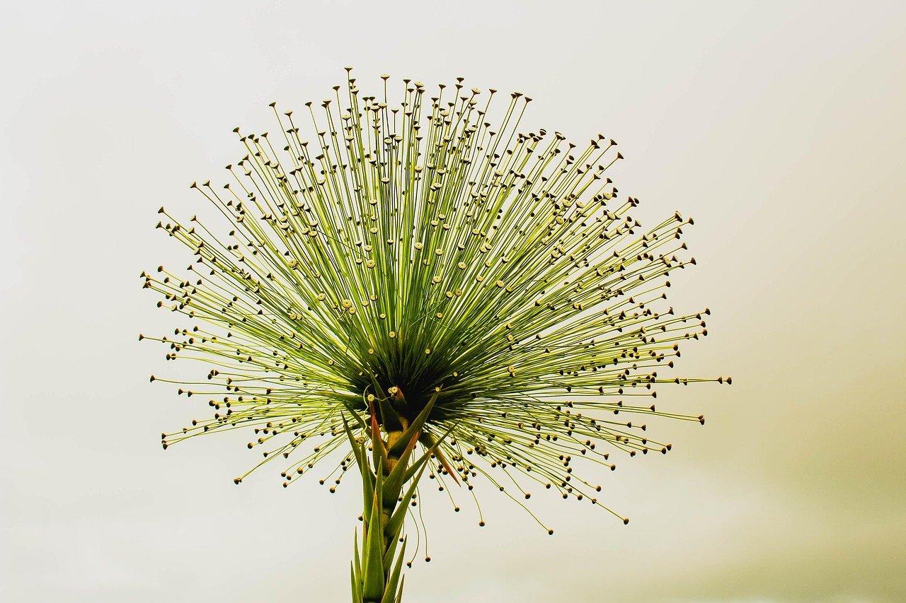 아침에 과일을 먹는 4가지 이유 7 과일은 왜 아침에 먹으면 좋을까? (키워드: 과일 아침)