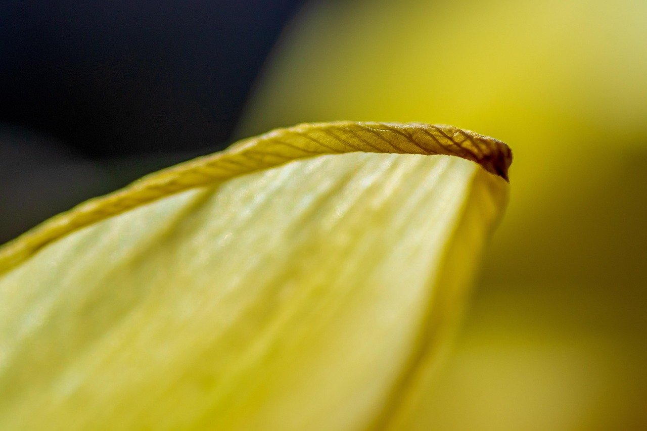 아이스크림 온도를 결정짓는 4가지 요소 알아보기 6 아이스크림은 왜 차가울까? (키워드: 아이스크림 온도)