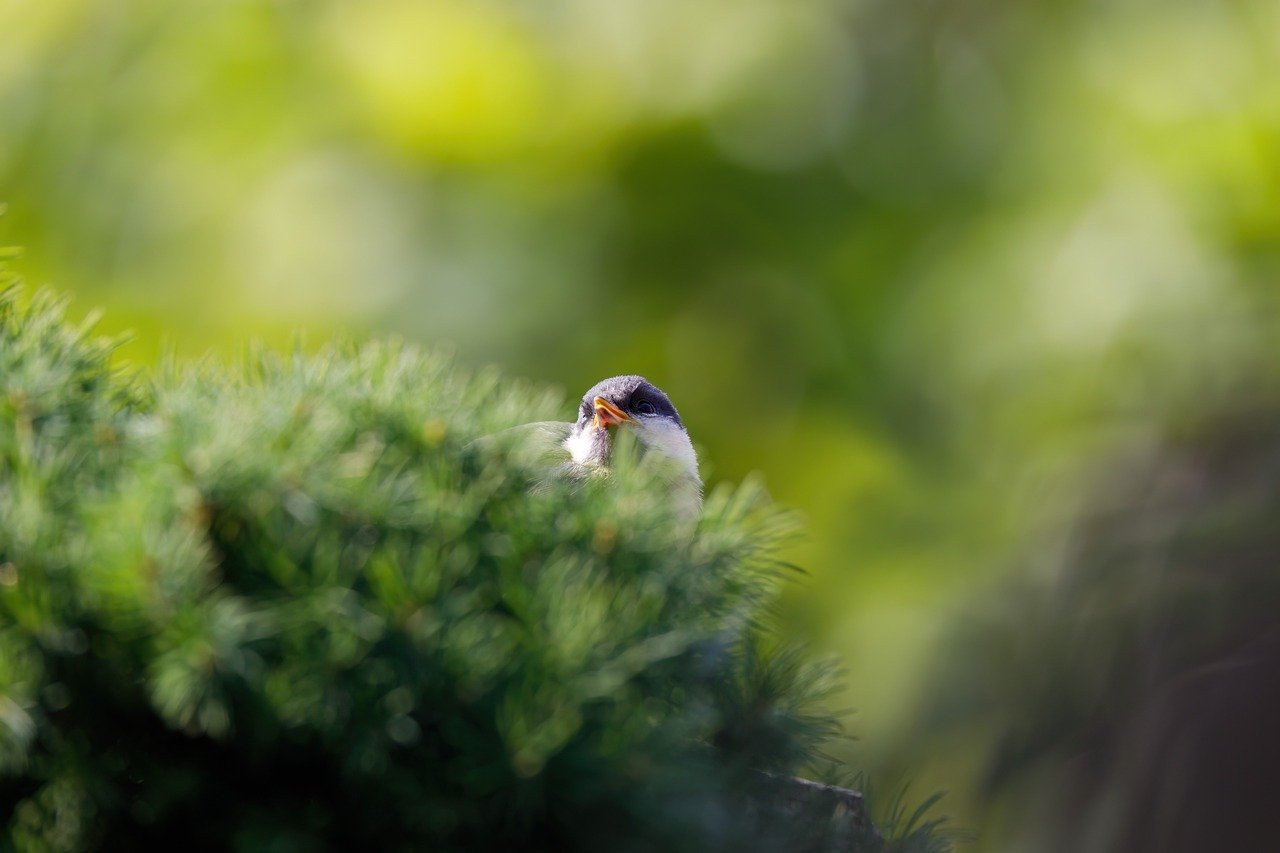 수박을 통으로 보관해야 하는 이유 4가지 알아보자 7 수박은 왜 통으로 보관하면 좋을까? (키워드: 수박 보관)