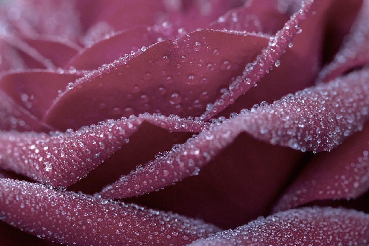 계란을 완전히 익혀 먹어야 하는 이유 살펴보기 7 계란은 왜 완전히 익혀 먹어야 할까? (키워드: 계란 익힘)