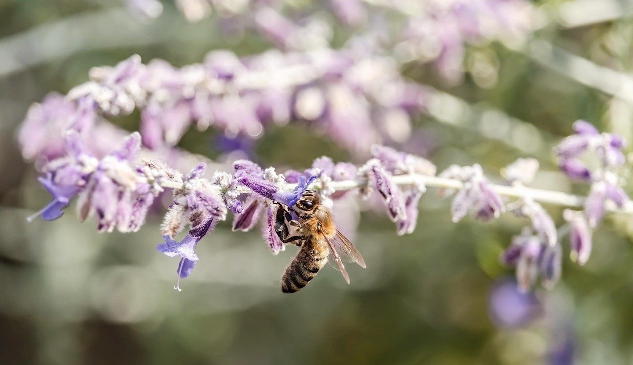 커피 필터의 중요성 알아보자 4 커피는 왜 종이 필터로 걸러낼까? (키워드: 커피 필터)