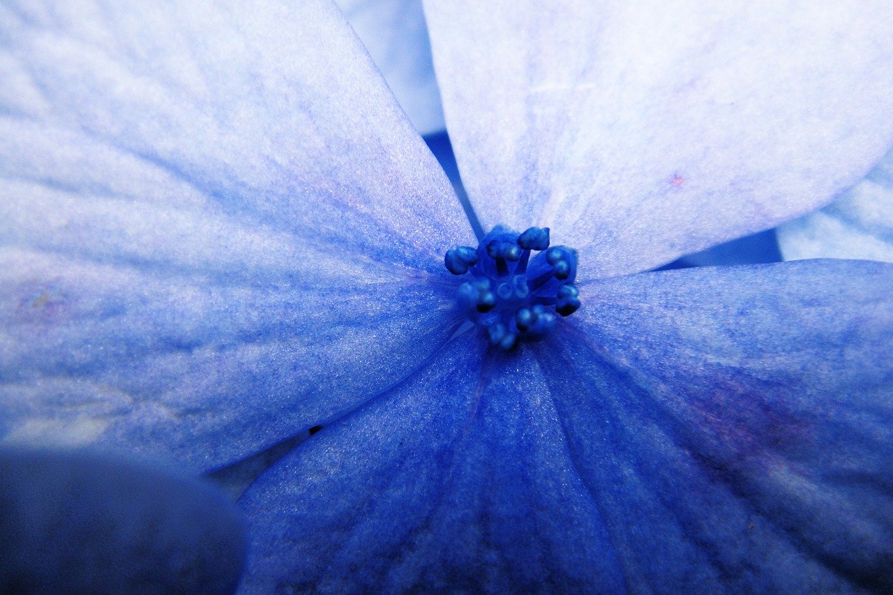 조의 크기가 작은 이유 알아보기 4 조는 왜 작을까? (키워드: 조 크기)