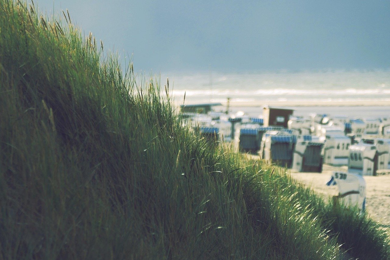 화산이 바다 밑에서 폭발하면 섬이 생길까? 7 화산이 바다 밑에서 폭발하면 섬이 생길까?