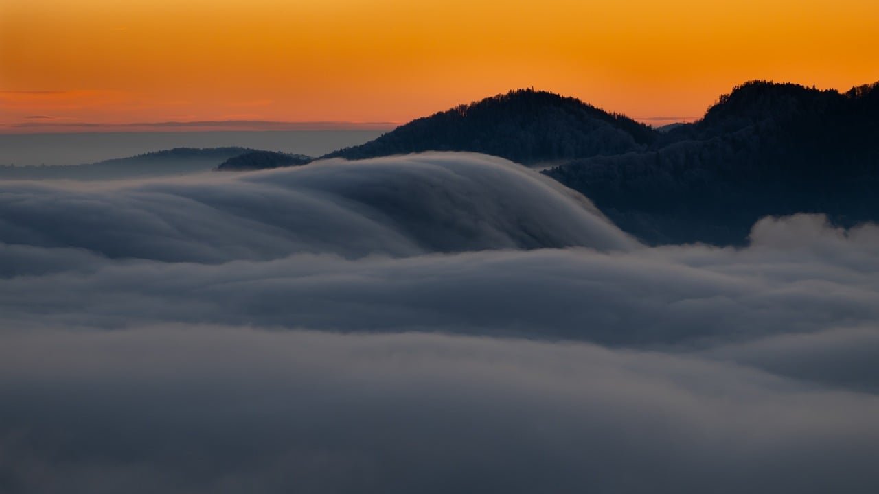 엘리베이터가 추락할 때 살아남으려면 어떻게 해야 할까? 5 엘리베이터가 추락할 때 살아남으려면 어떻게 해야 할까?