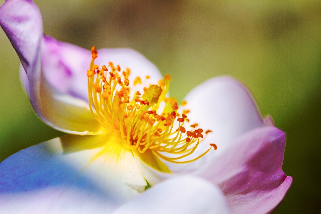 믹서기청소, 고무패킹까지 깔끔하게! 7 믹서기청소, 고무패킹까지 깔끔하게!