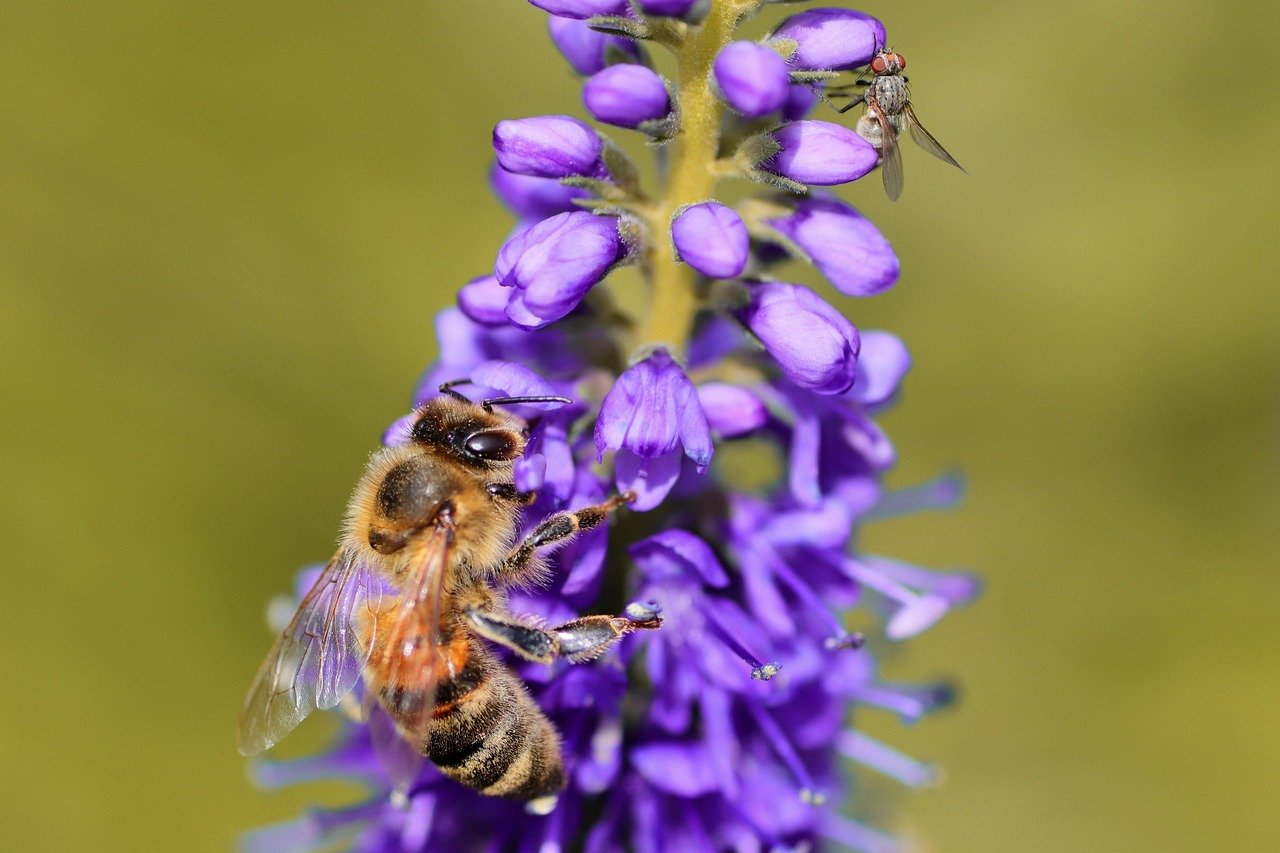 ‘조리도구 올바르게 쓰기’ 시리즈 1탄: 프라이팬 정석 7 ‘조리도구 올바르게 쓰기’ 시리즈 1탄: 프라이팬 정석