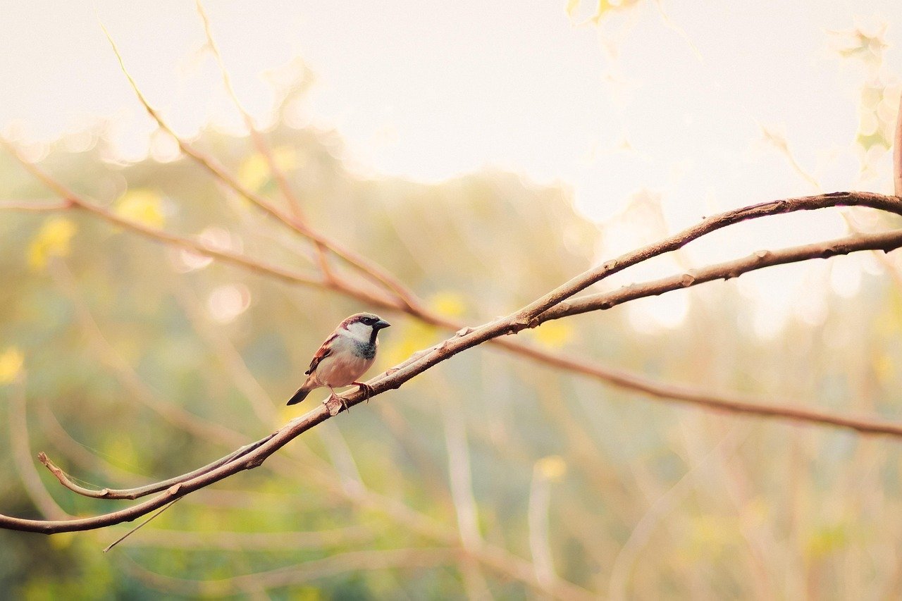 USB는 왜 항상 뒤집어서 꽂게 될까? 5 USB는 왜 항상 뒤집어서 꽂게 될까?