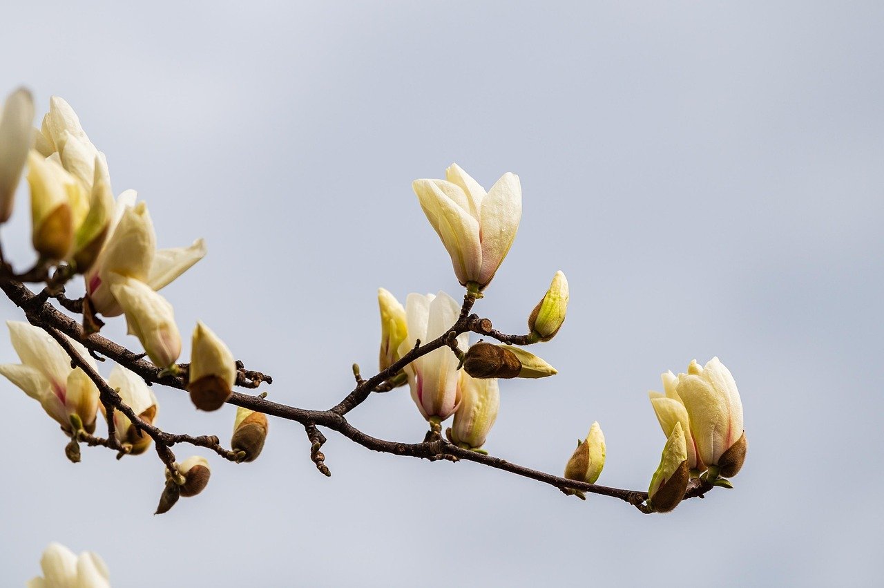 플라스틱도구주의사항, 환경호르몬 걱정 줄이기 7 플라스틱도구주의사항, 환경호르몬 걱정 줄이기