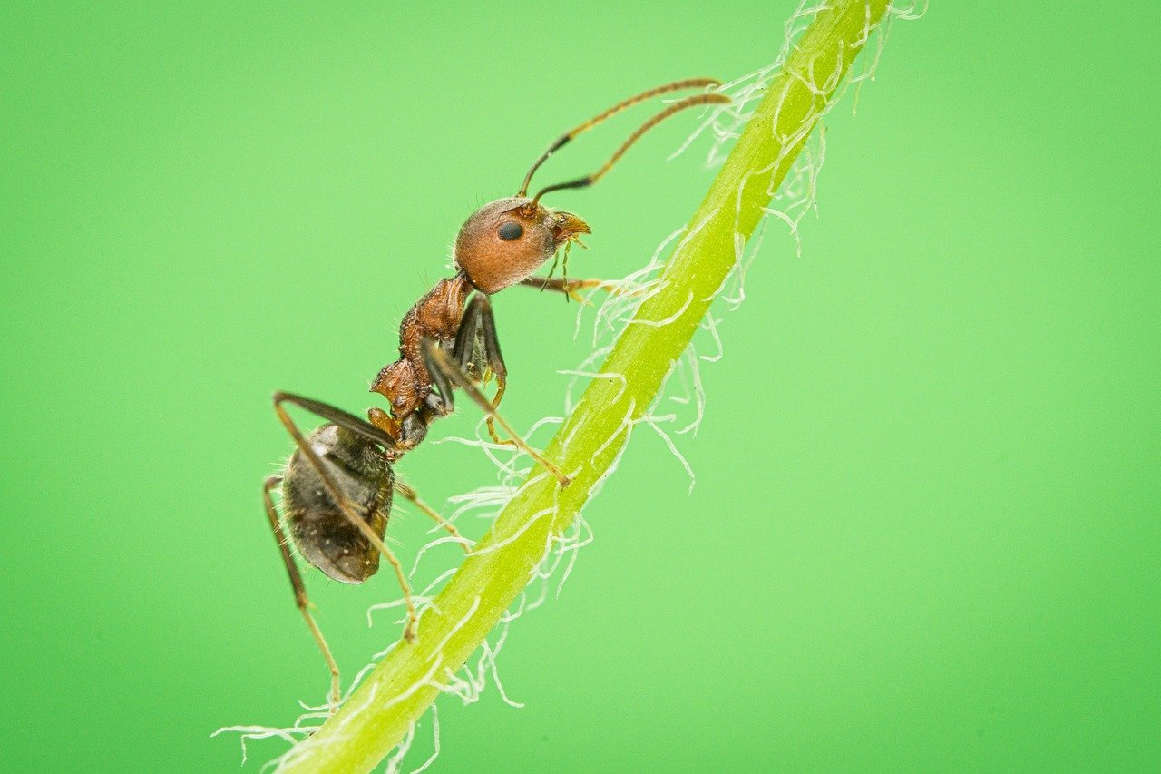 포스트잇 잘 붙는 방향으로 떼는 팁 7 포스트잇 잘 붙는 방향으로 떼는 팁