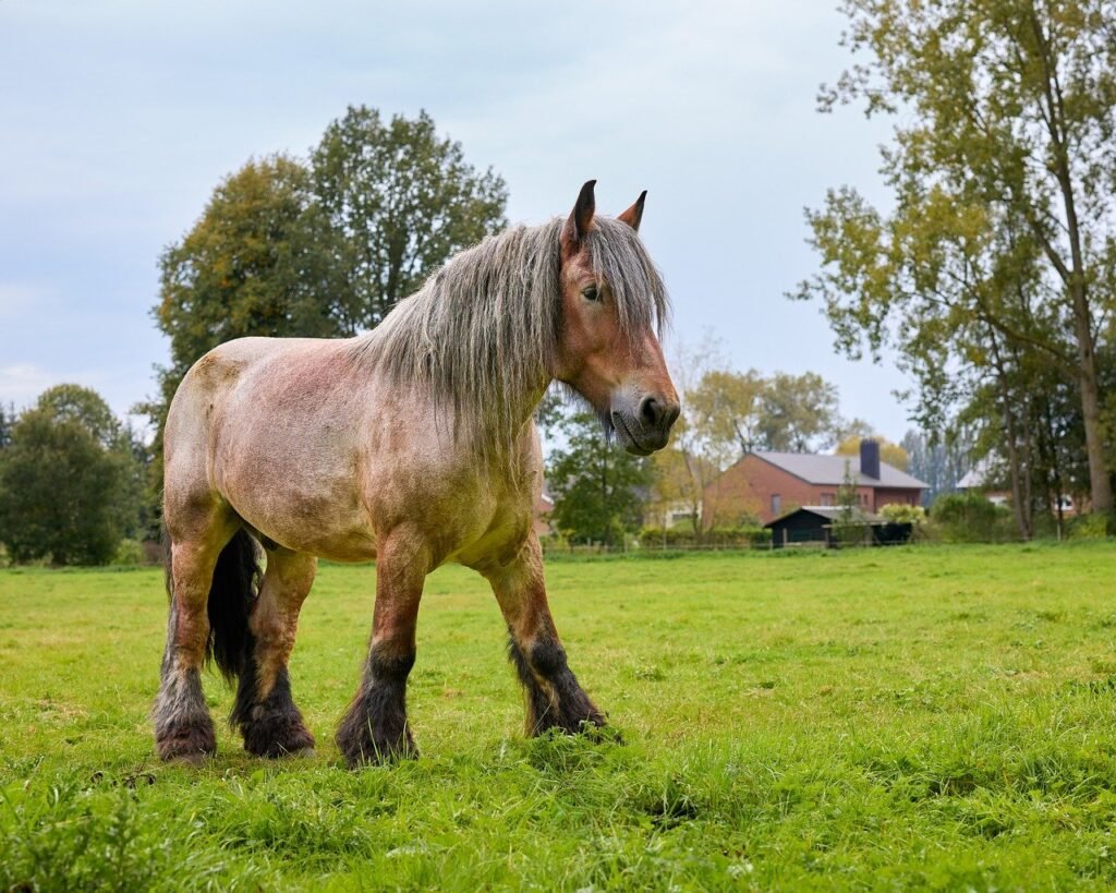 대포는 왜 과거 전쟁에서 그렇게 강력했나?