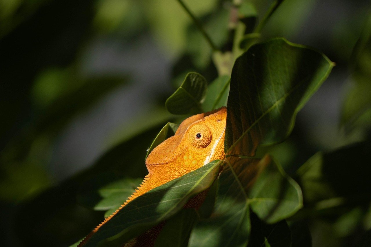 도마 추천, 플라스틱 vs 나무 vs 항균도마 비교 2 도마 추천 플라스틱 vs 나무 vs 항균도마 비교