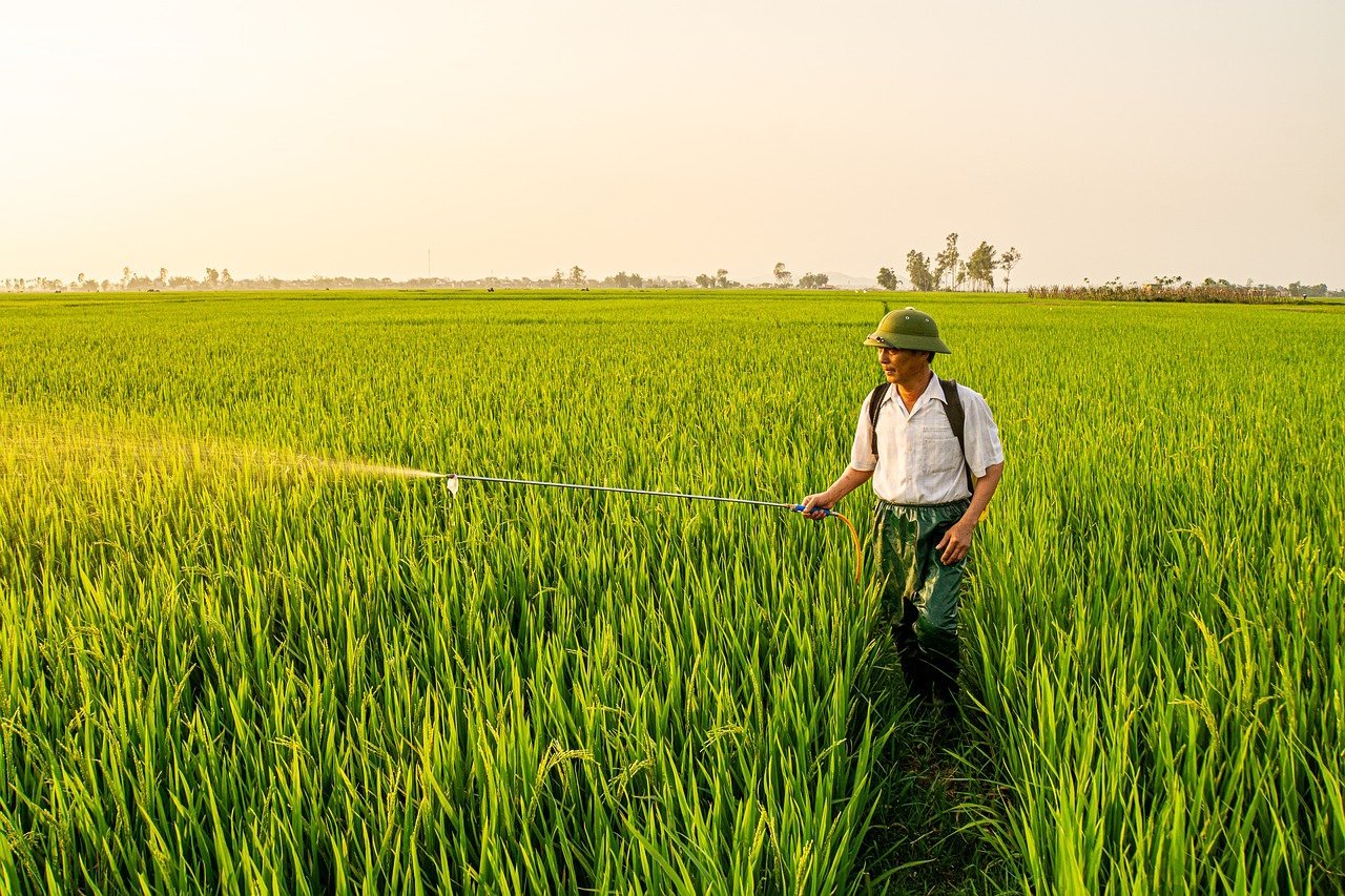 밥솥의 내솥 코팅이 밥맛에 미치는 영향 1 밥솥의 내솥 코팅이 밥맛에 미치는 영향