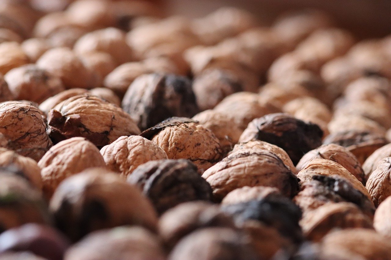 세탁기는 왜 빨래가 한쪽으로 몰릴까? 2 세탁기는 왜 빨래가 한쪽으로 몰릴까