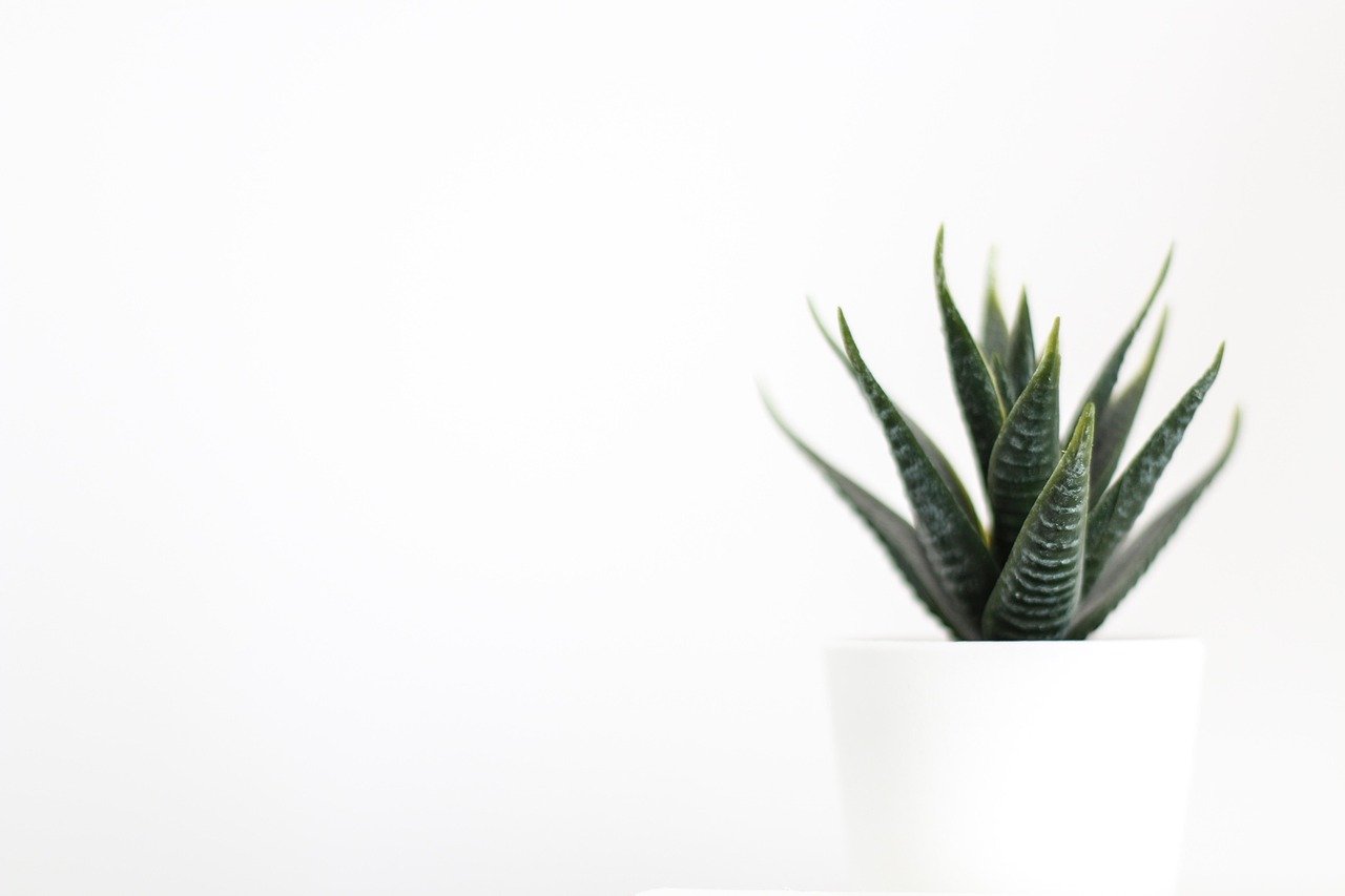 수납정리 팁, 미니멀한 집 만들기 2 수납정리 팁 미니멀한 집 만들기