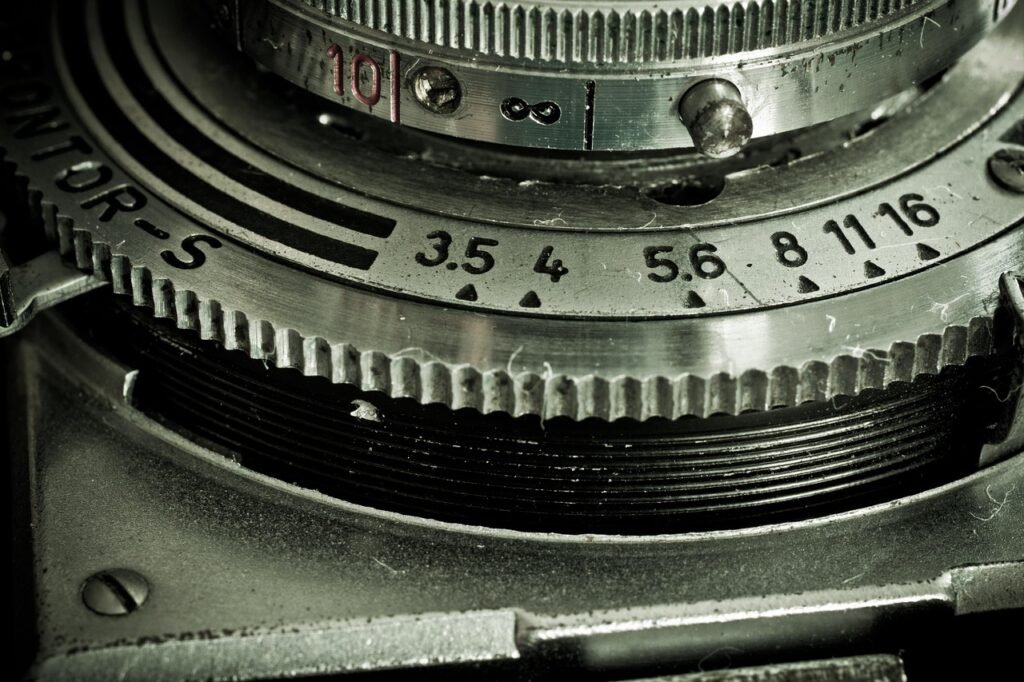 쑥,출혈을 멈추게 하는 최고의 비상약