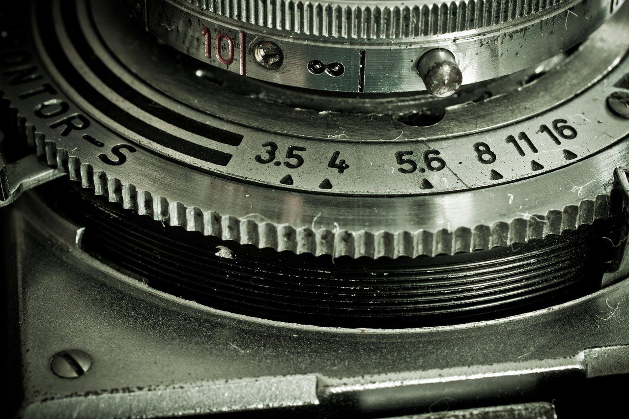 쑥,출혈을 멈추게 하는 최고의 비상약 1 쑥출혈을 멈추게 하는 최고의 비상약