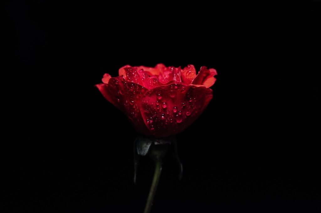 아이스크림 보관법 알아보자