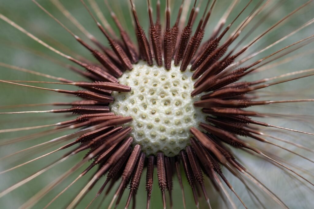 압력밥솥 뚜껑이 안 열릴 때 대처법: 내부 압력 해소와 안전장치의 원리