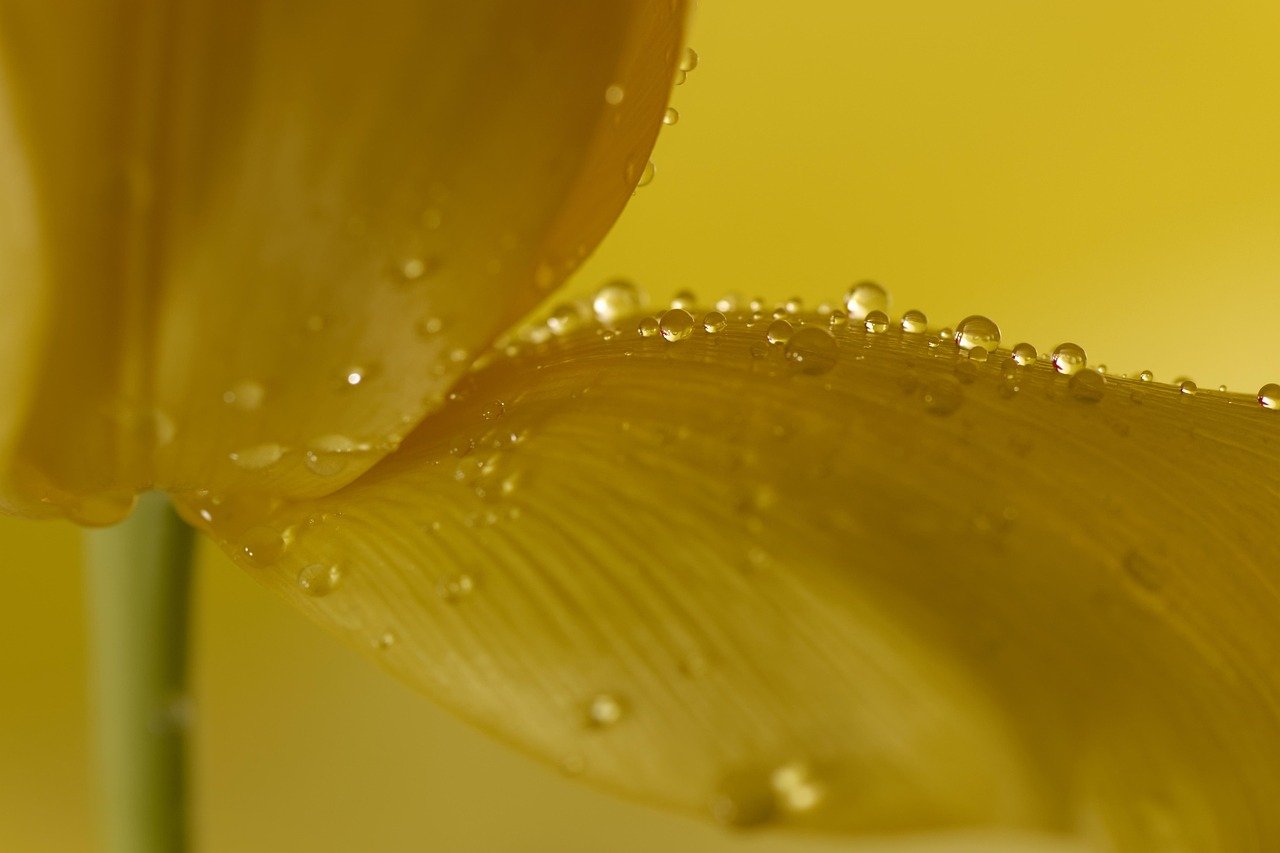 양초 추천, 천연향 vs 무향 제품 비교 2 양초 추천 천연향 vs 무향 제품 비교