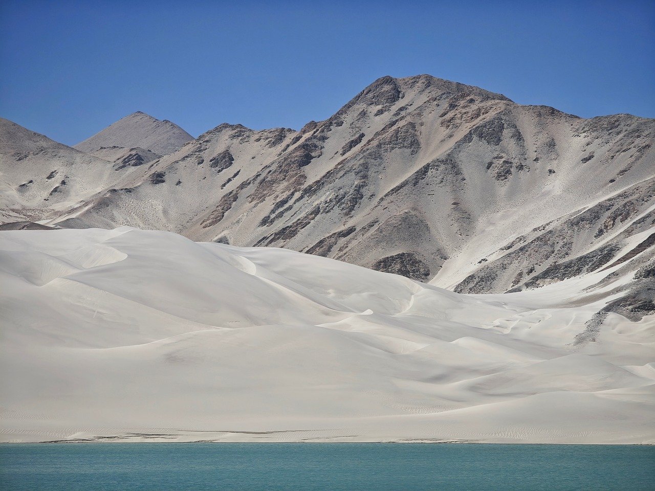 요리 학교에서 전문 셰프를 양성하는 이유 살펴보기 2 요리 학교는 왜 전문 셰프를 양성할까 키워드 요리 학교